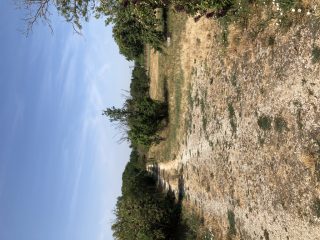 Eladó 22551 m²-esmezőgazdasági ingatlan Balatonszabadi, Külsőhegy utca: 98'000'000 Ft