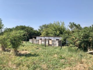 Eladó 22551 m²-esmezőgazdasági ingatlan Balatonszabadi, Külsőhegy utca: 98'000'000 Ft