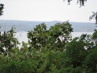 Eladó 111 m²-essorház Balatonszepezd, Központ: 129'900'000 Ft