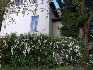 Eladó 300 m²-escsaládi ház Balatonvilágos, Balaton part közeli: 290'000'000 Ft