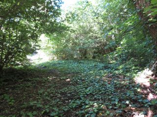 Eladó 821 m²-estelek Balatonvilágos, Vízközeli utca: 41'900'000 Ft