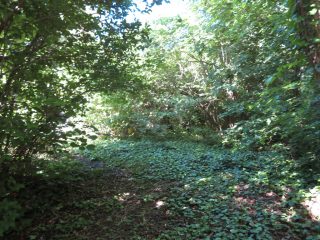 Eladó 821 m²-estelek Balatonvilágos, Vízközeli utca: 41'900'000 Ft