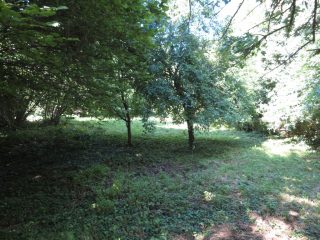 Eladó 821 m²-estelek Balatonvilágos, Vízközeli utca: 41'900'000 Ft