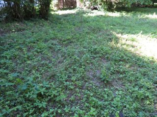 Eladó 821 m²-estelek Balatonvilágos, Vízközeli utca: 41'900'000 Ft