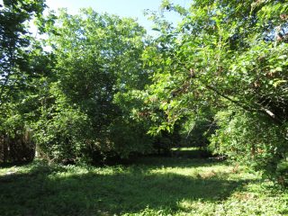 Eladó 821 m²-estelek Balatonvilágos, Vízközeli utca: 41'900'000 Ft