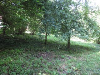 Eladó 821 m²-estelek Balatonvilágos, Vízközeli utca: 41'900'000 Ft