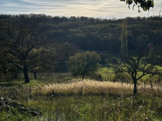 Eladó 40 m²-escsaládi ház Bálványos, Nagy telkes: 29'900'000 Ft