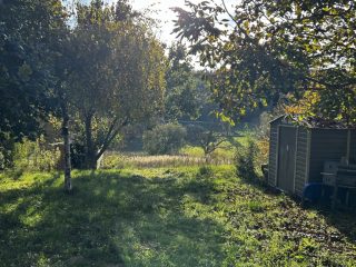 Eladó 40 m²-escsaládi ház Bálványos, Nagy telkes: 29'900'000 Ft