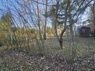 Eladó 30 m²-esüdülő Bánk, Juhász Gyula utca: 19'900'000 Ft