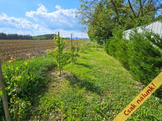 Eladó 45 m²-esüdülő Bánk, Szondi utca: 29'900'000 Ft