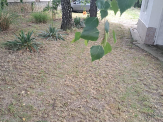 Eladó 49 m²-escsaládi ház Beleg, Petőfi utca: 11'500'000 Ft