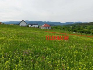 Eladó 1949 m²-estelek Berkenye, Bérc utca: 26'400'000 Ft