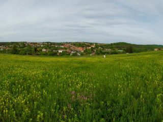 Eladó 1949 m²-estelek Berkenye, Bérc utca: 26'400'000 Ft