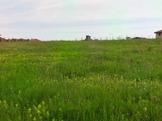 Eladó 1949 m²-estelek Berkenye, Bérc utca: 26'400'000 Ft