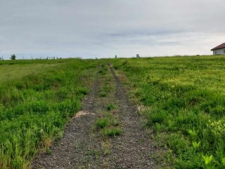 Eladó 1949 m²-estelek Berkenye, Bérc utca: 26'400'000 Ft