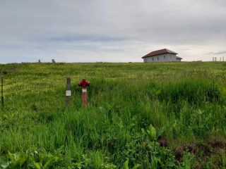 Eladó 1949 m²-estelek Berkenye, Bérc utca: 26'400'000 Ft