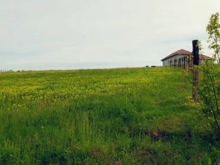 Eladó 1949 m²-estelek Berkenye, Bérc utca: 26'400'000 Ft