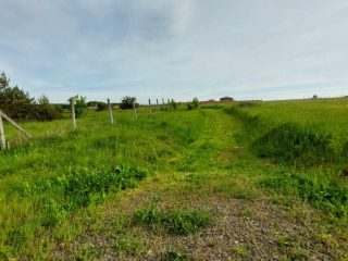 Eladó 1949 m²-estelek Berkenye, Bérc utca: 26'400'000 Ft