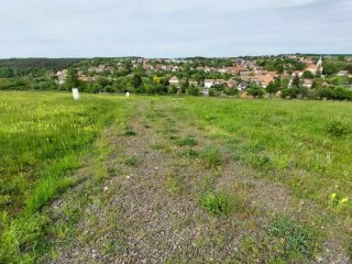 Eladó 1949 m²-estelek Berkenye, Bérc utca: 26'400'000 Ft