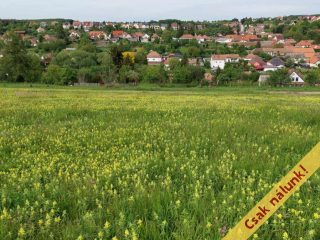 Eladó 1125 m²-estelek Berkenye, Bérc utca: 17'526'000 Ft