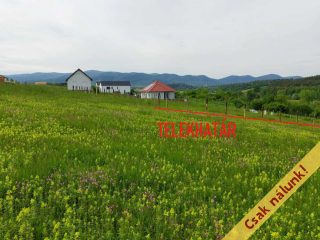 Eladó 1125 m²-estelek Berkenye, Bérc utca: 17'526'000 Ft