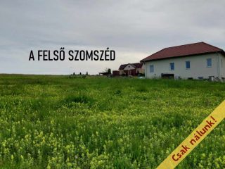 Eladó 1125 m²-estelek Berkenye, Bérc utca: 17'526'000 Ft