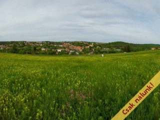 Eladó 1125 m²-estelek Berkenye, Bérc utca: 17'526'000 Ft