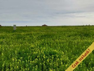 Eladó 1125 m²-estelek Berkenye, Bérc utca: 17'526'000 Ft