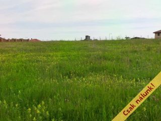 Eladó 1125 m²-estelek Berkenye, Bérc utca: 17'526'000 Ft