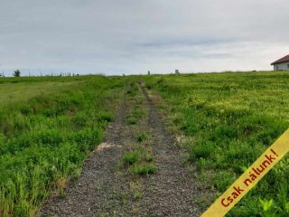 Eladó 1125 m²-estelek Berkenye, Bérc utca: 17'526'000 Ft