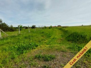 Eladó 1125 m²-estelek Berkenye, Bérc utca: 17'526'000 Ft