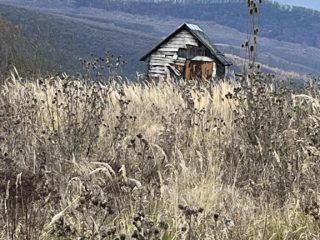 Eladó 5005 m²-estelek Berkenye, Berkenye külterület: 4'990'000 Ft