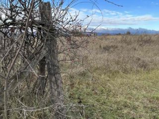 Eladó 5005 m²-estelek Berkenye, Berkenye külterület: 4'990'000 Ft