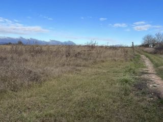 Eladó 5005 m²-estelek Berkenye, Berkenye külterület: 4'990'000 Ft