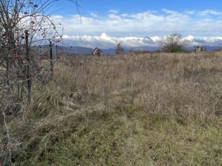 Eladó 5005 m²-estelek Berkenye, Berkenye külterület: 4'990'000 Ft