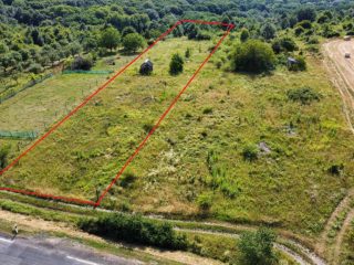 Eladó 5005 m²-estelek Berkenye, Berkenye külterület: 4'990'000 Ft