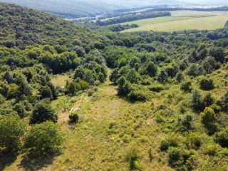 Eladó 5005 m²-estelek Berkenye, Berkenye külterület: 4'990'000 Ft