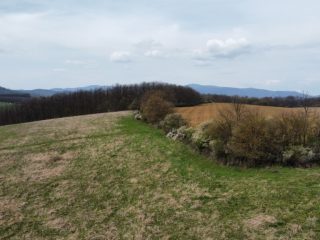 Eladó 22721 m²-esmezőgazdasági ingatlan Berkenye, Külterület utca: 17'949'000 Ft