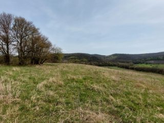 Eladó 22721 m²-esmezőgazdasági ingatlan Berkenye, Külterület utca: 17'949'000 Ft