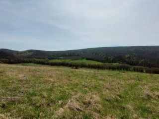 Eladó 22721 m²-esmezőgazdasági ingatlan Berkenye, Külterület utca: 17'949'000 Ft