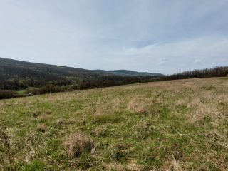 Eladó 22721 m²-esmezőgazdasági ingatlan Berkenye, Külterület utca: 17'949'000 Ft