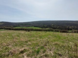 Eladó 22721 m²-esmezőgazdasági ingatlan Berkenye, Külterület utca: 17'949'000 Ft