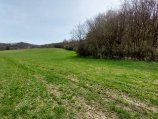 Eladó 22721 m²-esmezőgazdasági ingatlan Berkenye, Külterület utca: 17'949'000 Ft