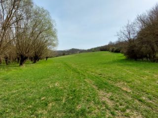 Eladó 22721 m²-esmezőgazdasági ingatlan Berkenye, Külterület utca: 17'949'000 Ft