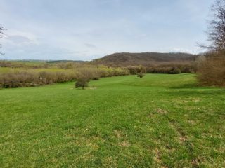 Eladó 22721 m²-esmezőgazdasági ingatlan Berkenye, Külterület utca: 17'949'000 Ft