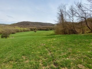 Eladó 22721 m²-esmezőgazdasági ingatlan Berkenye, Külterület utca: 17'949'000 Ft