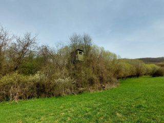 Eladó 22721 m²-esmezőgazdasági ingatlan Berkenye, Külterület utca: 17'949'000 Ft