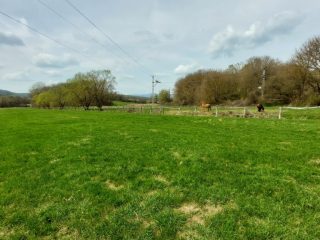 Eladó 22721 m²-esmezőgazdasági ingatlan Berkenye, Külterület utca: 17'949'000 Ft