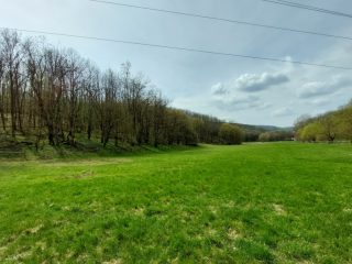 Eladó 22721 m²-esmezőgazdasági ingatlan Berkenye, Külterület utca: 17'949'000 Ft