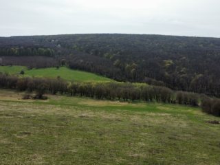 Eladó 22721 m²-esmezőgazdasági ingatlan Berkenye, Külterület utca: 17'949'000 Ft